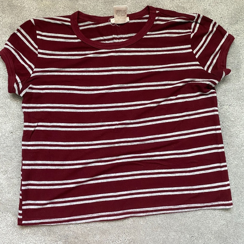 Wet Seal Maroon Striped Crop Top